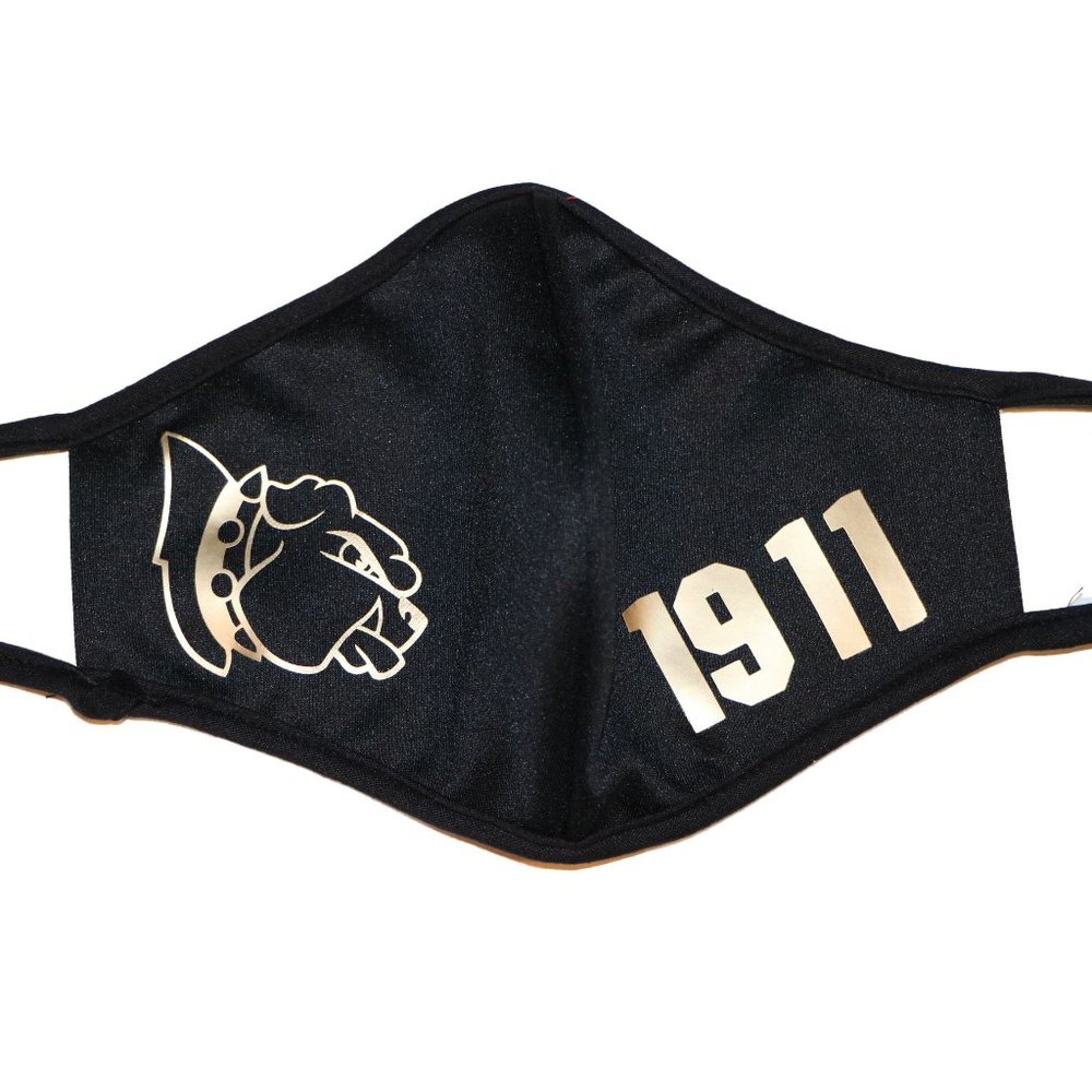 Omega Phi Psi Inspired Mask